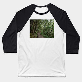 Forest Trail Series 5 Baseball T-Shirt